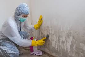 Mold Remediation for Vacation Homes in Simpsonville, SC